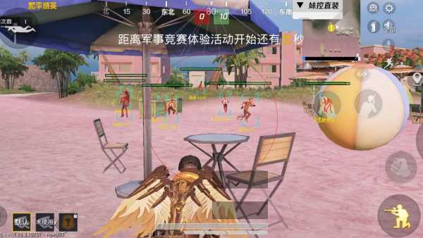 和平精英《敖光》辅助